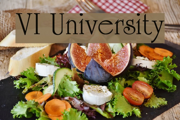 VI University フォント examples