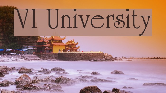 VI University フォント examples