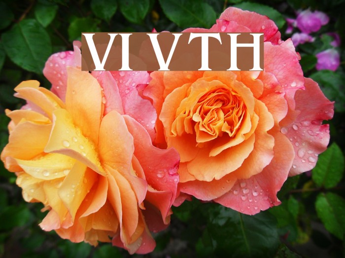 VI Van Tho Hoa Example 2