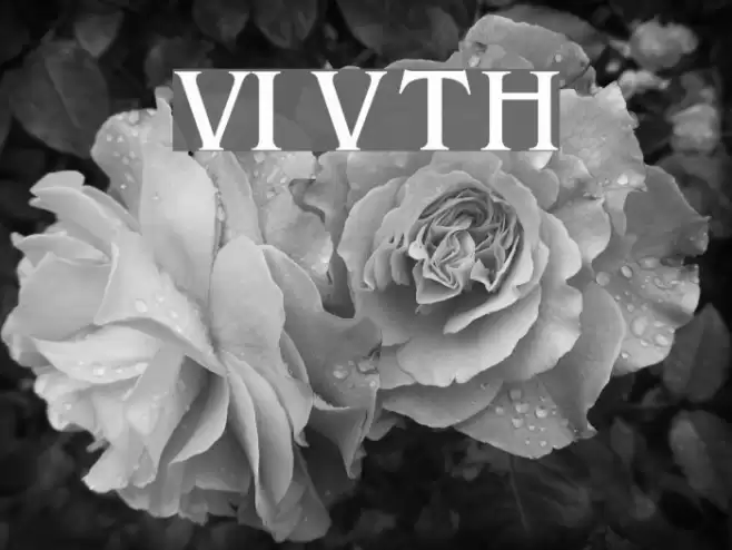 VI Van Tho Hoa Font examples