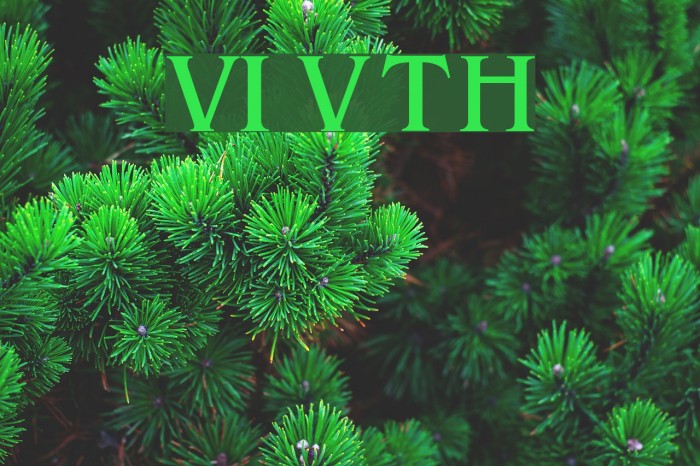 VI Van Tho Hoa Example 3