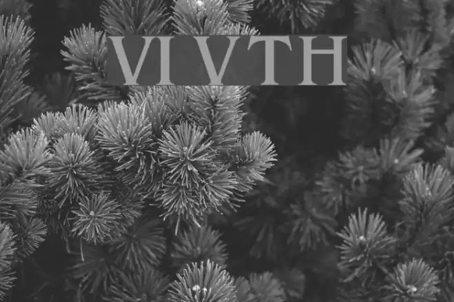 VI Van Tho Hoa Font examples