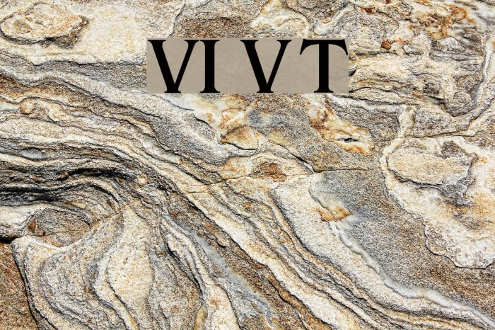 VI Van Tho Font examples