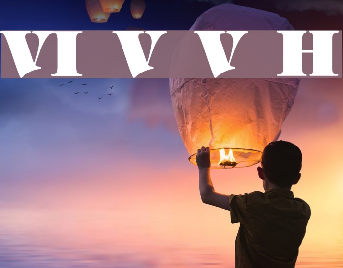 VI Vong Vang Hoa Font examples