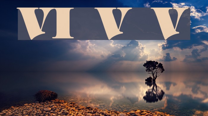 VI Vong Vang Font examples
