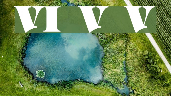 VI Vong Vang Font examples