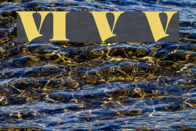 VI Vong Vang Example 3