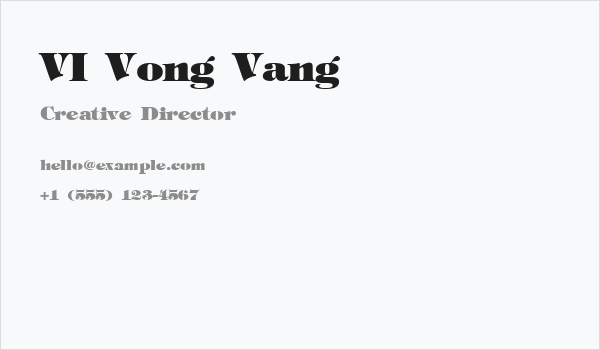 VI Vong Vang Business Card