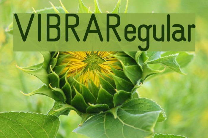 VIBRA Regular Font examples