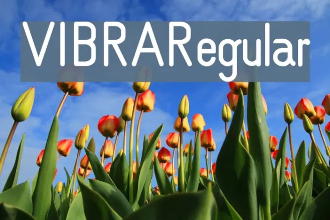 VIBRA Regular Example 3
