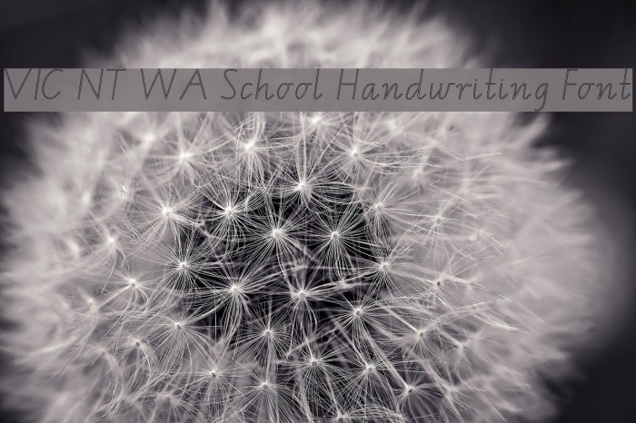 VIC NT WA School Handwriting Font Font examples
