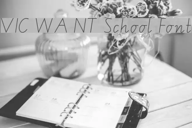 VIC WA NT School Font Font examples