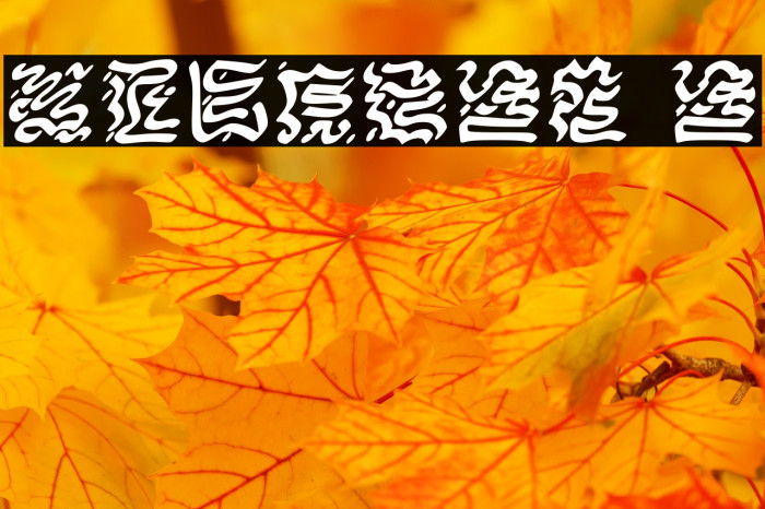 VICNORA Regular Example 2