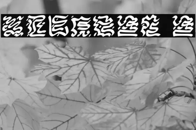 VICNORA Regular Font examples