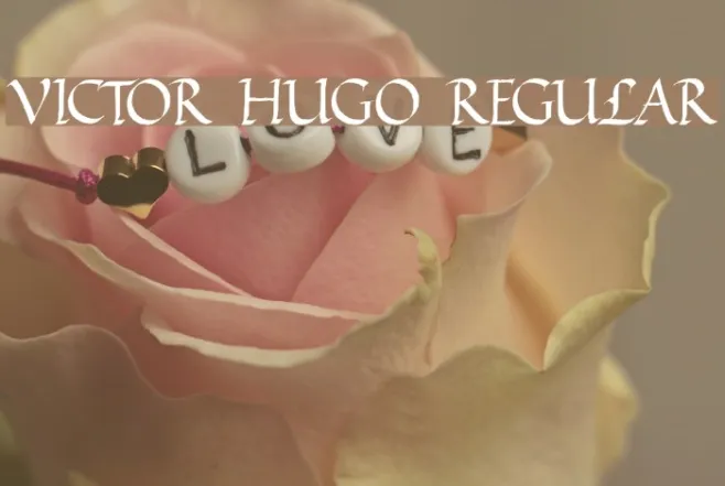 VICTOR HUGO Regular Example 1