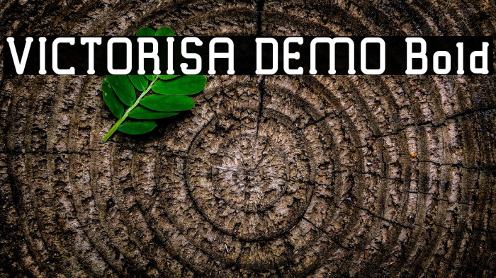 VICTORISA DEMO Bold Example 1