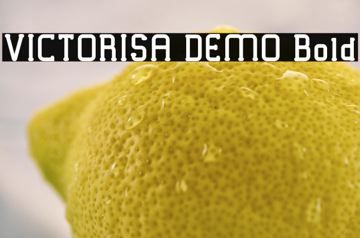 VICTORISA DEMO Bold Example 2