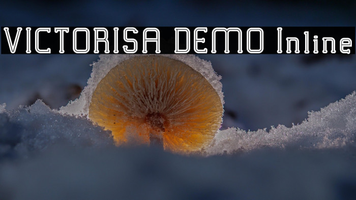 VICTORISA DEMO Inline Example 1