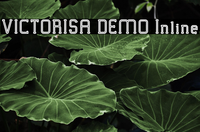 VICTORISA DEMO Inline Example 2