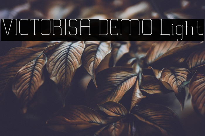 VICTORISA DEMO Light Example 3