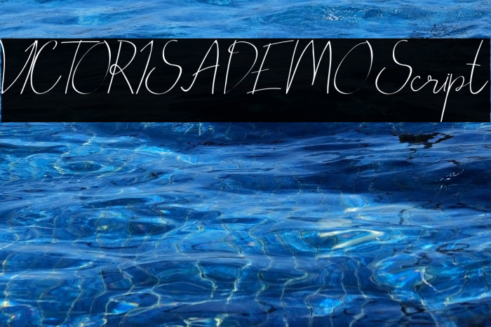 VICTORISA DEMO Script Example 1