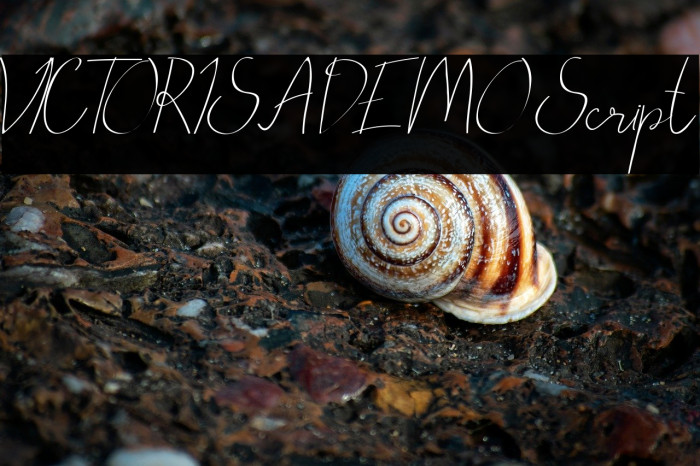VICTORISA DEMO Script Example 2