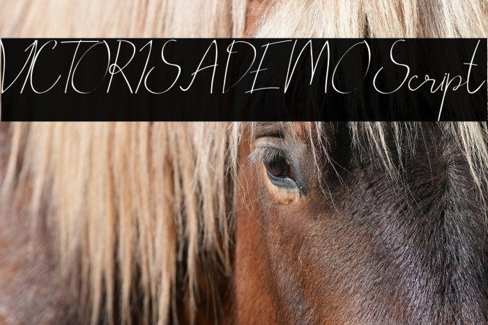 VICTORISA DEMO Script Example 3