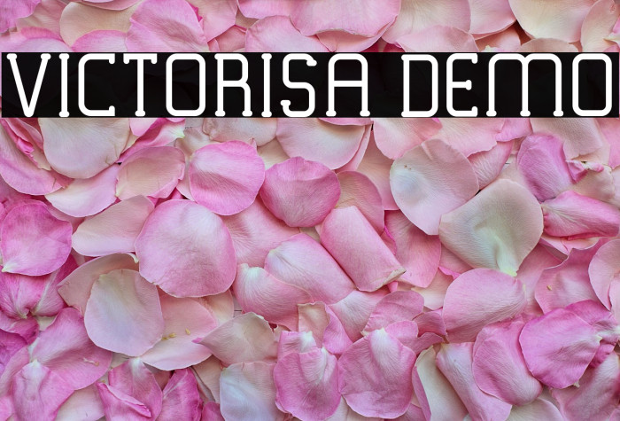 VICTORISA DEMO Example 1