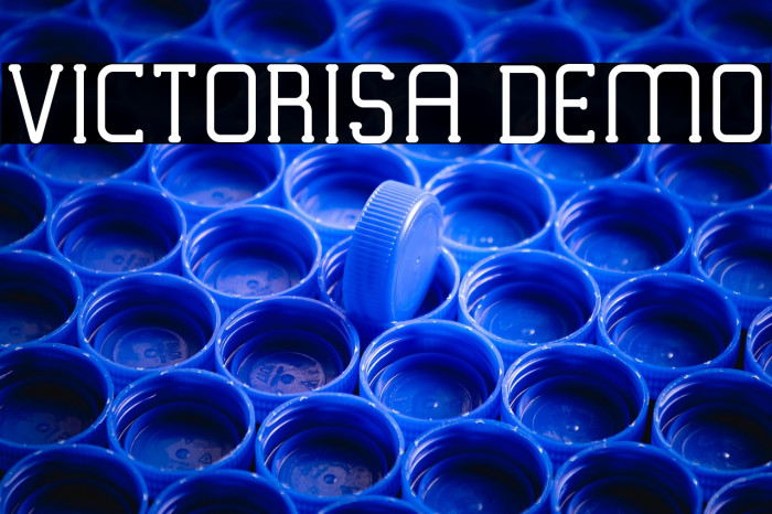 VICTORISA DEMO Example 3