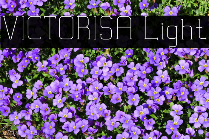 VICTORISA Light Font examples