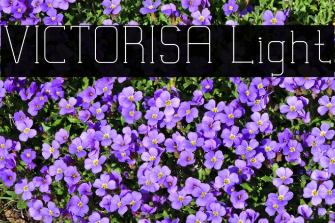 VICTORISA Light Example 2