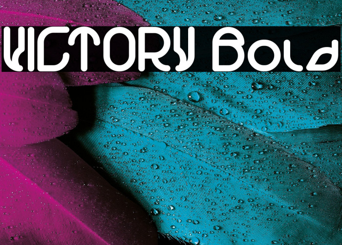 VICTORY Bold Example 2