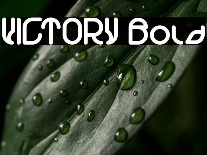 VICTORY Bold Example 3