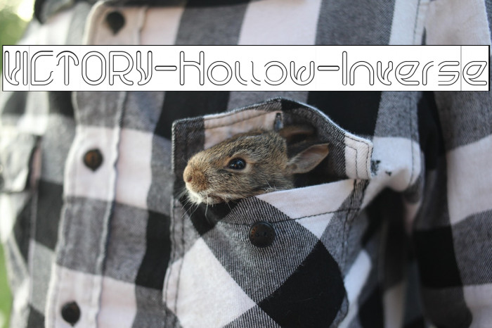 VICTORY-Hollow-Inverse Example 1