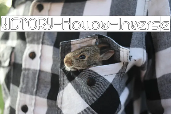 VICTORY-Hollow-Inverse Example 1