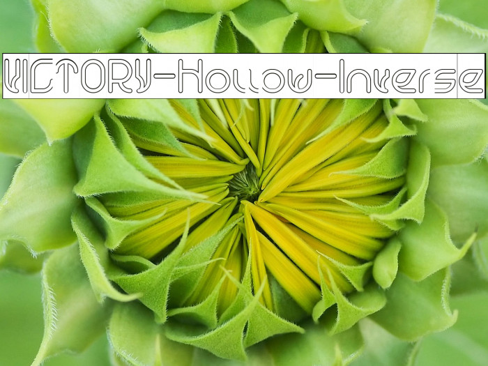 VICTORY-Hollow-Inverse Example 3