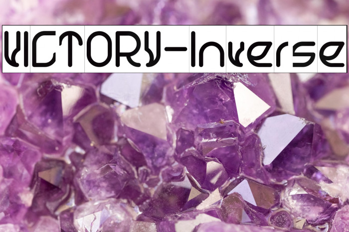 VICTORY-Inverse Example 3