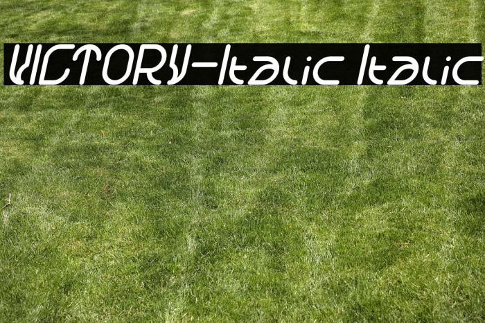 VICTORY-Italic Italic Example 3