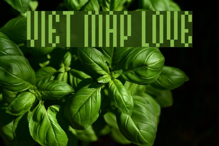VIET MAP LOVE Font examples