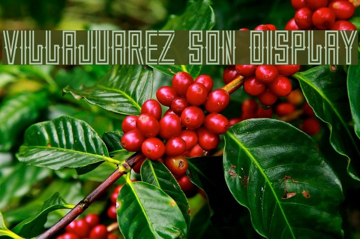 VILLAJUAREZ SON DISPLAY Font examples