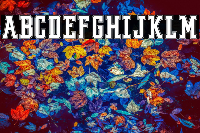 VINTAGE COLLEGE DEPT_DEMO_outli Example 2