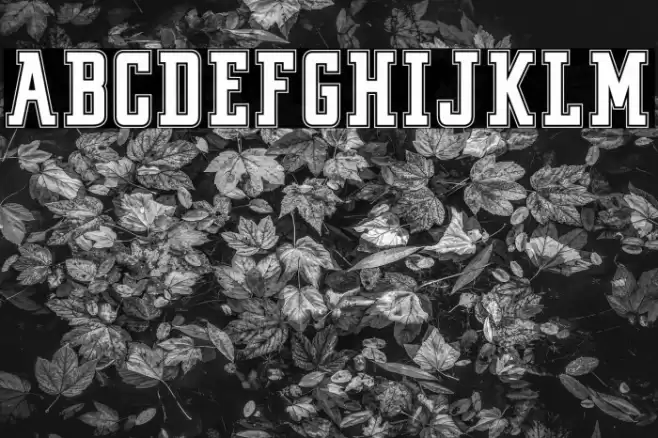 VINTAGE COLLEGE DEPT_DEMO_outli Font examples