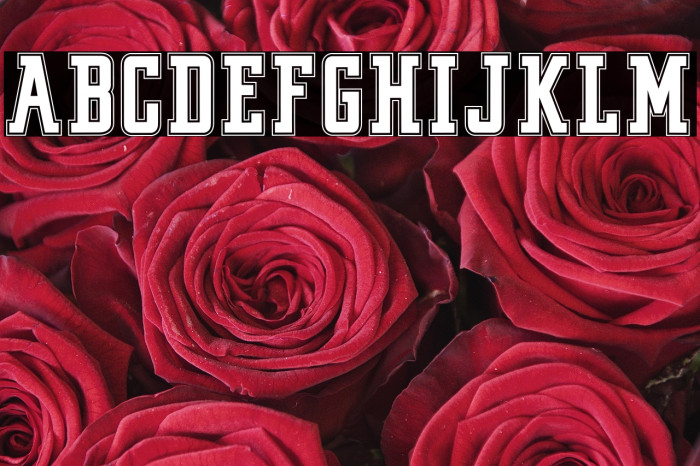 VINTAGE COLLEGE DEPT_DEMO_outli Example 3