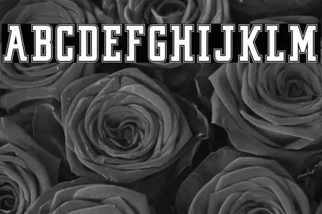 VINTAGE COLLEGE DEPT_DEMO_outli Font examples