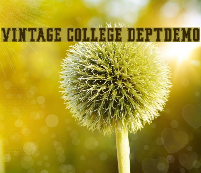 VINTAGE COLLEGE DEPT_DEMO_outline Font examples