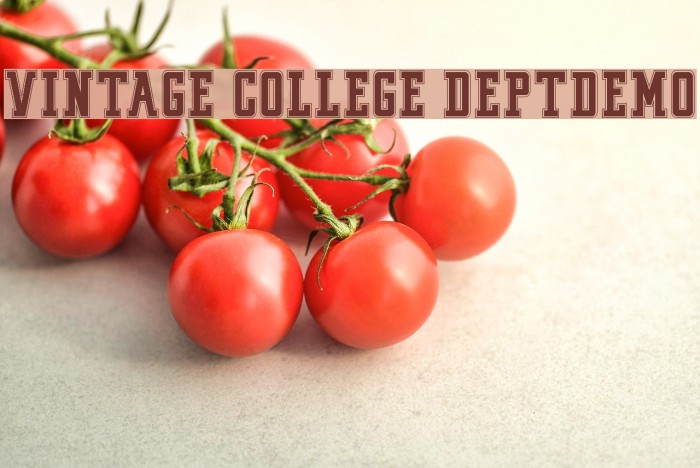 VINTAGE COLLEGE DEPT_DEMO_outline Font examples
