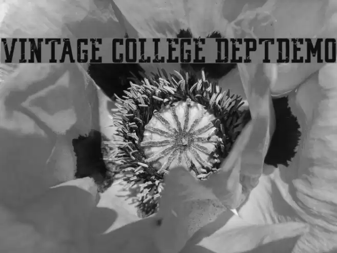 VINTAGE COLLEGE DEPT_DEMO_worn Font examples