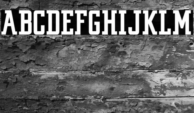 VINTAGE COLLEGE DEPT_pure_DEMO Font examples