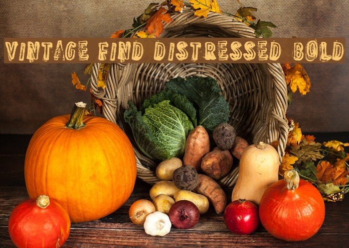 VINTAGE FIND DISTRESSED Bold Font examples