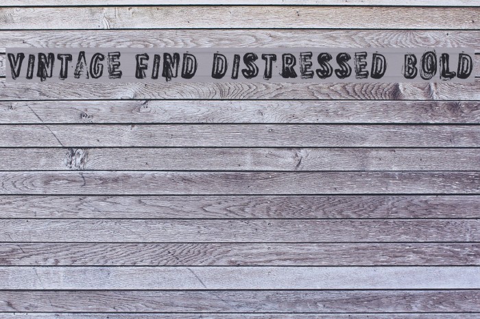 VINTAGE FIND DISTRESSED Bold Font examples